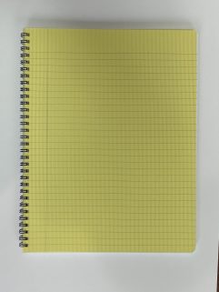 Notebook 8,5 in. x 11 in. - 100 pages, Cacti Cover (Notes-8,5x11-100p/072) (Copie) (Copie)