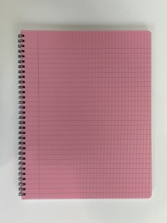 Notebook 8,5 in. x 11 in. - 100 pages, Cacti Cover (Notes-8,5x11-100p/072) (Copie)